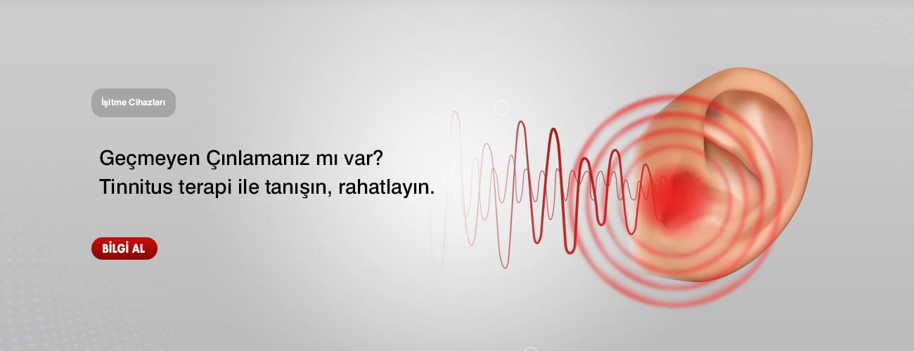 1300X500 px 5